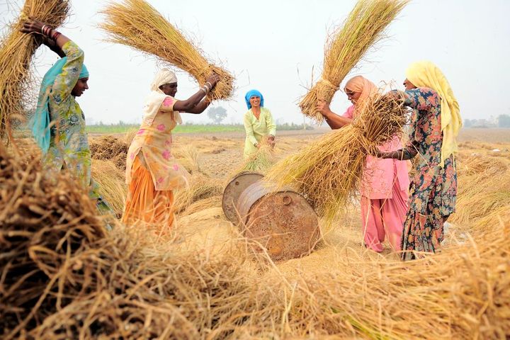 The untold energy story of India's protesting farmers